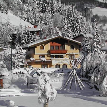 Appartements Landhaus Jaeger Filzmoos Luaran gambar